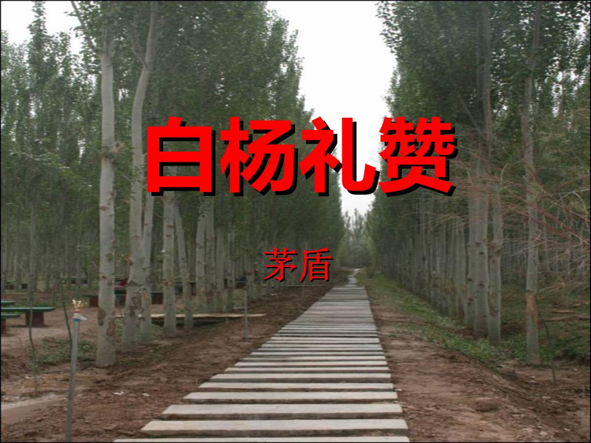 《白杨礼赞》PPT课件