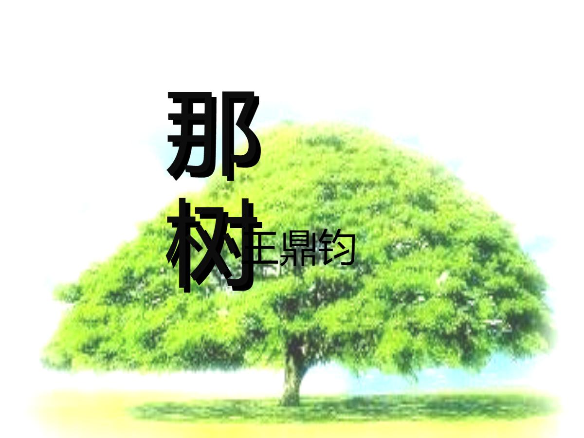 《那树》PPT课件5