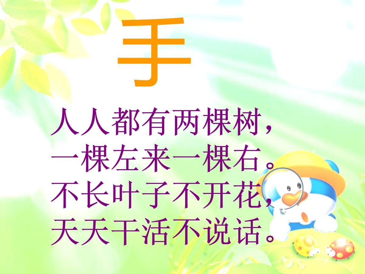 《胖乎乎的小手》PPT课件2