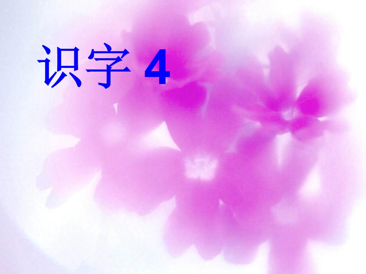 识字4PPT课件下载