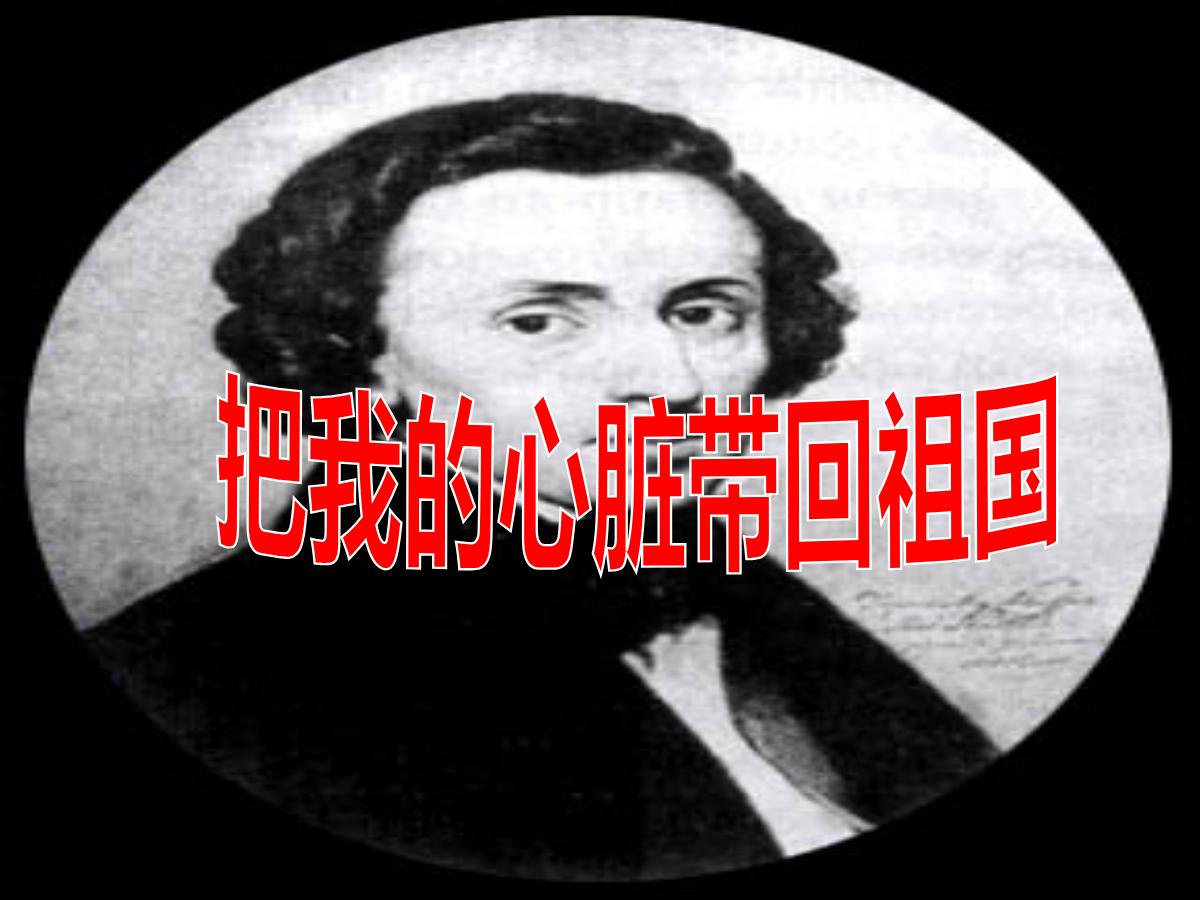 《把我的心脏带回祖国》PPT课件2