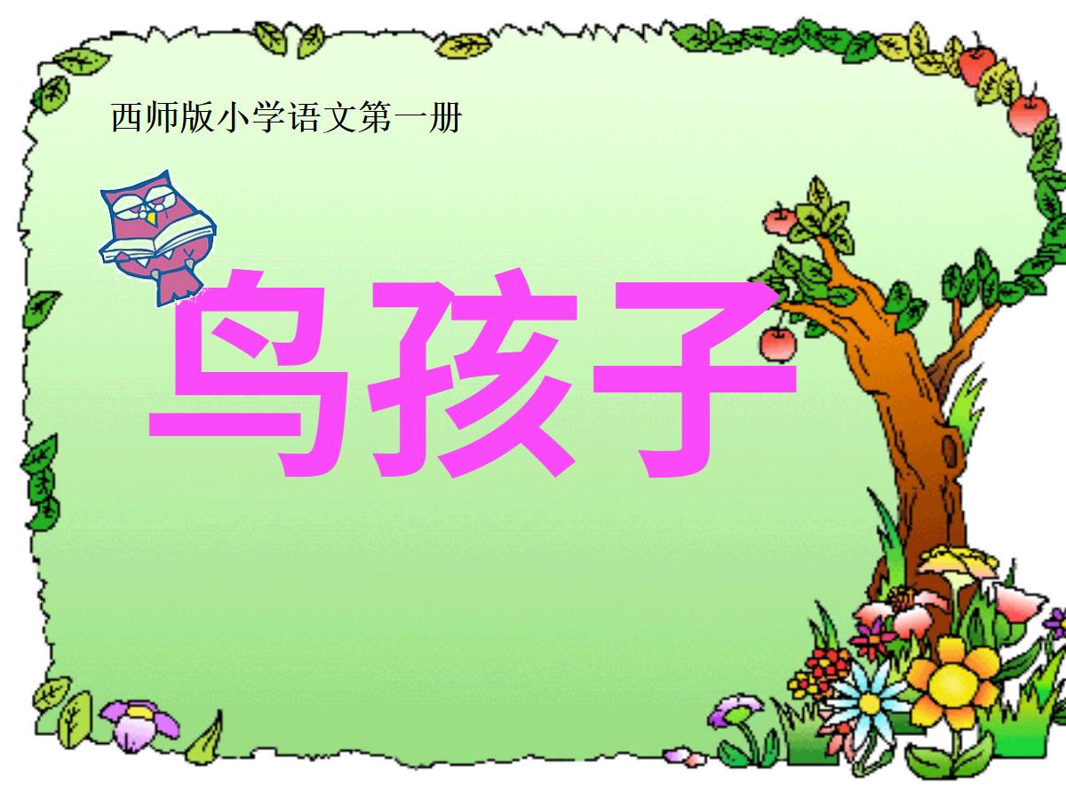 《鸟孩子》PPT课件