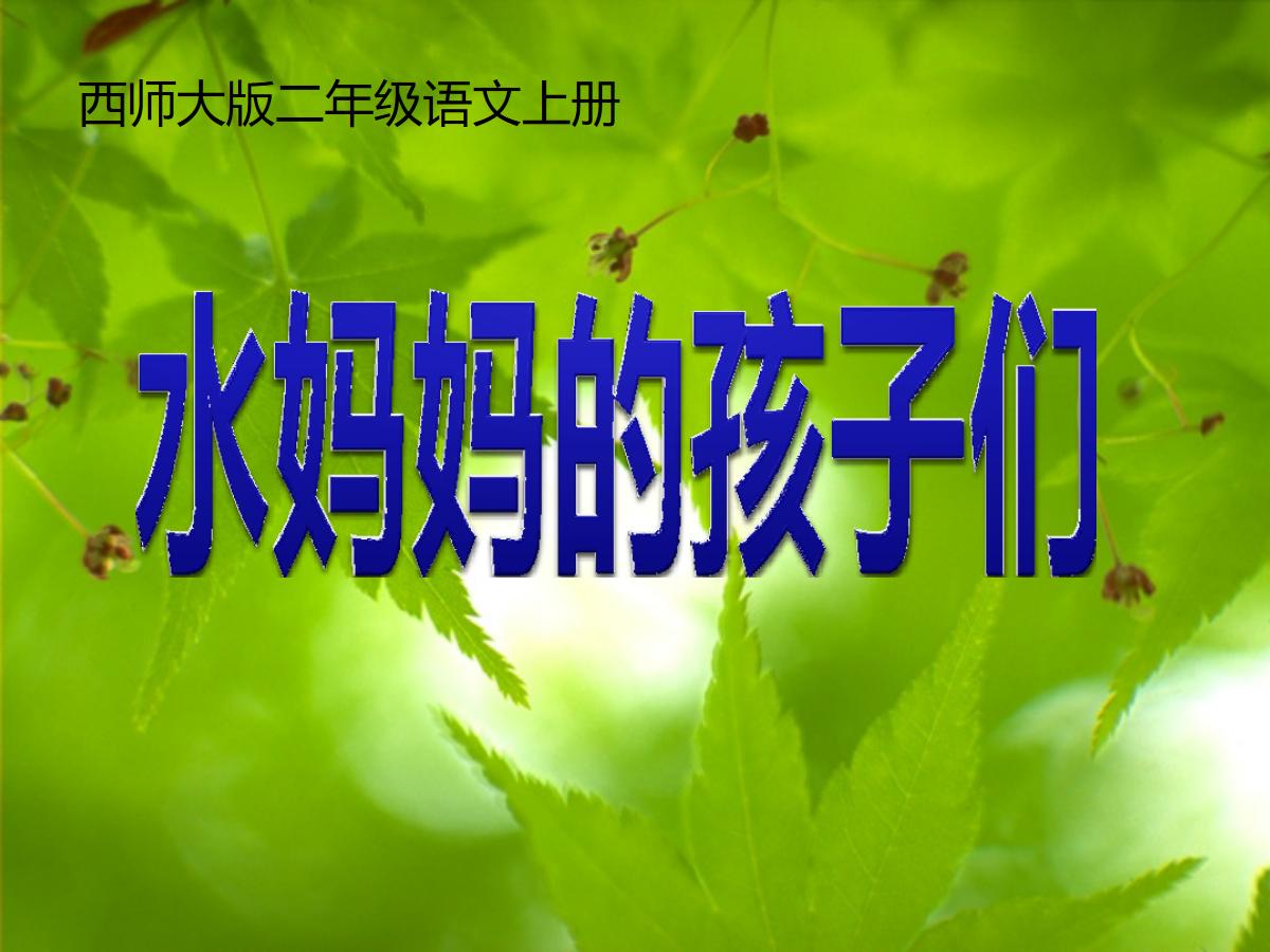 《水妈妈的孩子们》PPT课件
