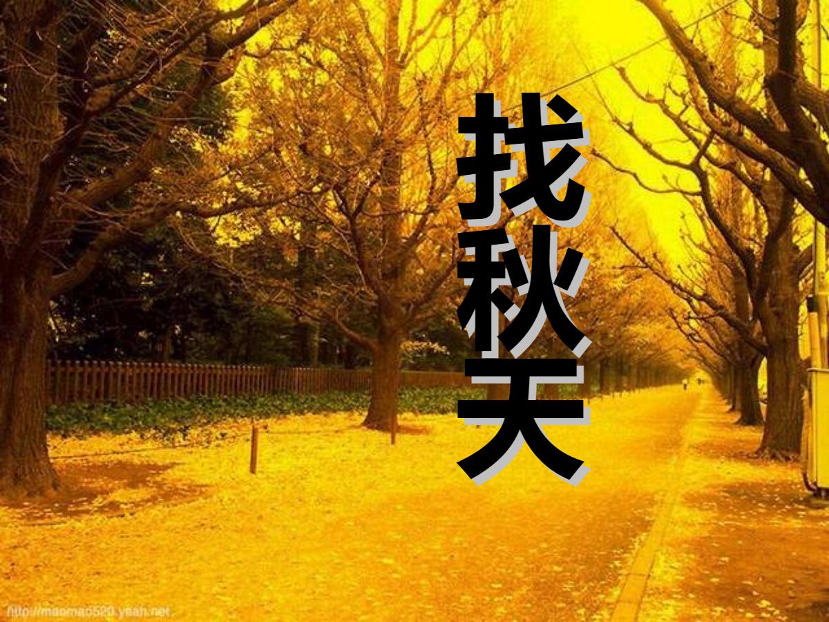 《找秋天》PPT课件