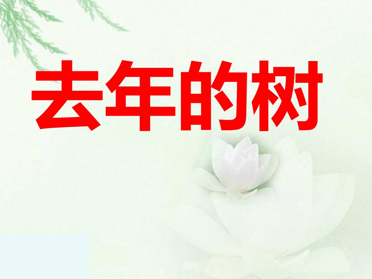 《去年的树》PPT教学课件下载5
