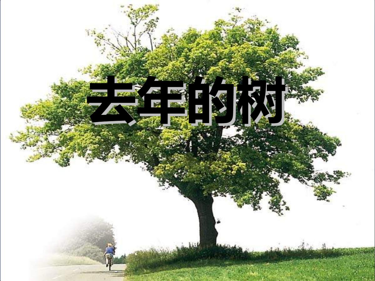 《去年的树》PPT教学课件下载6