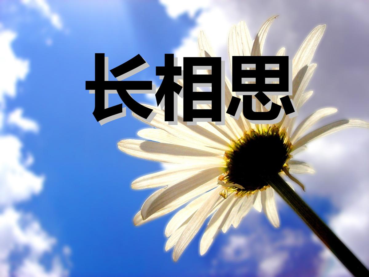 《长相思》PPT课件2