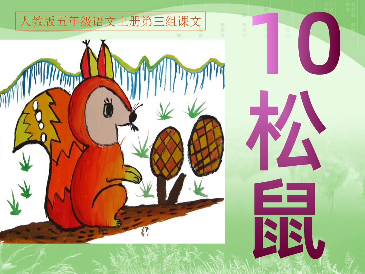 《松鼠》PPT课件下载5