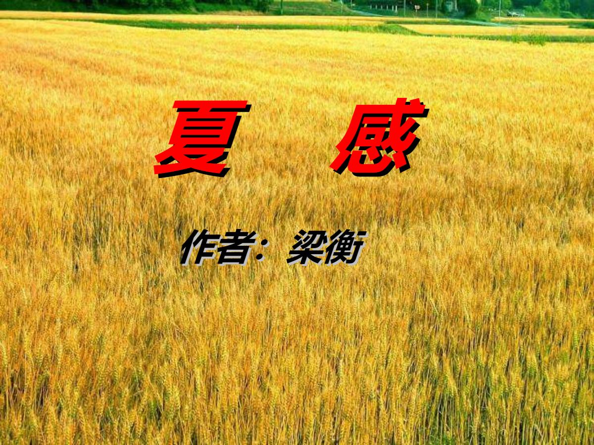 《夏感》PPT课件