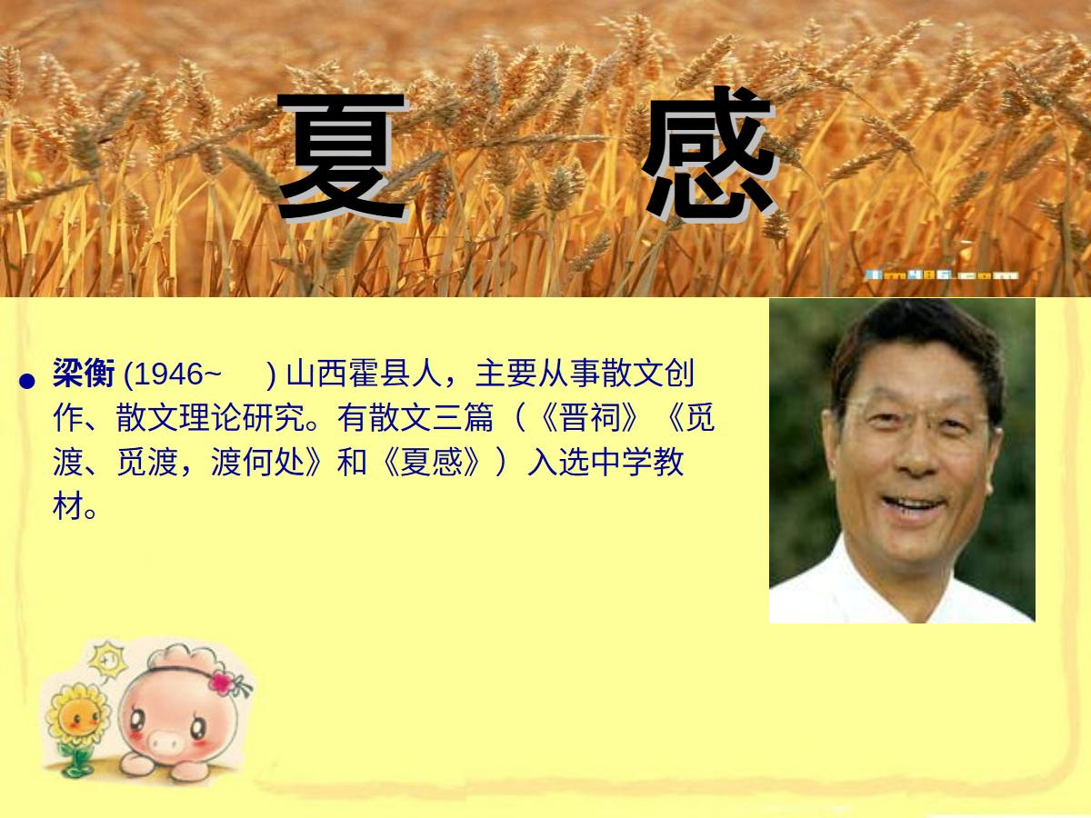 《夏感》PPT课件4