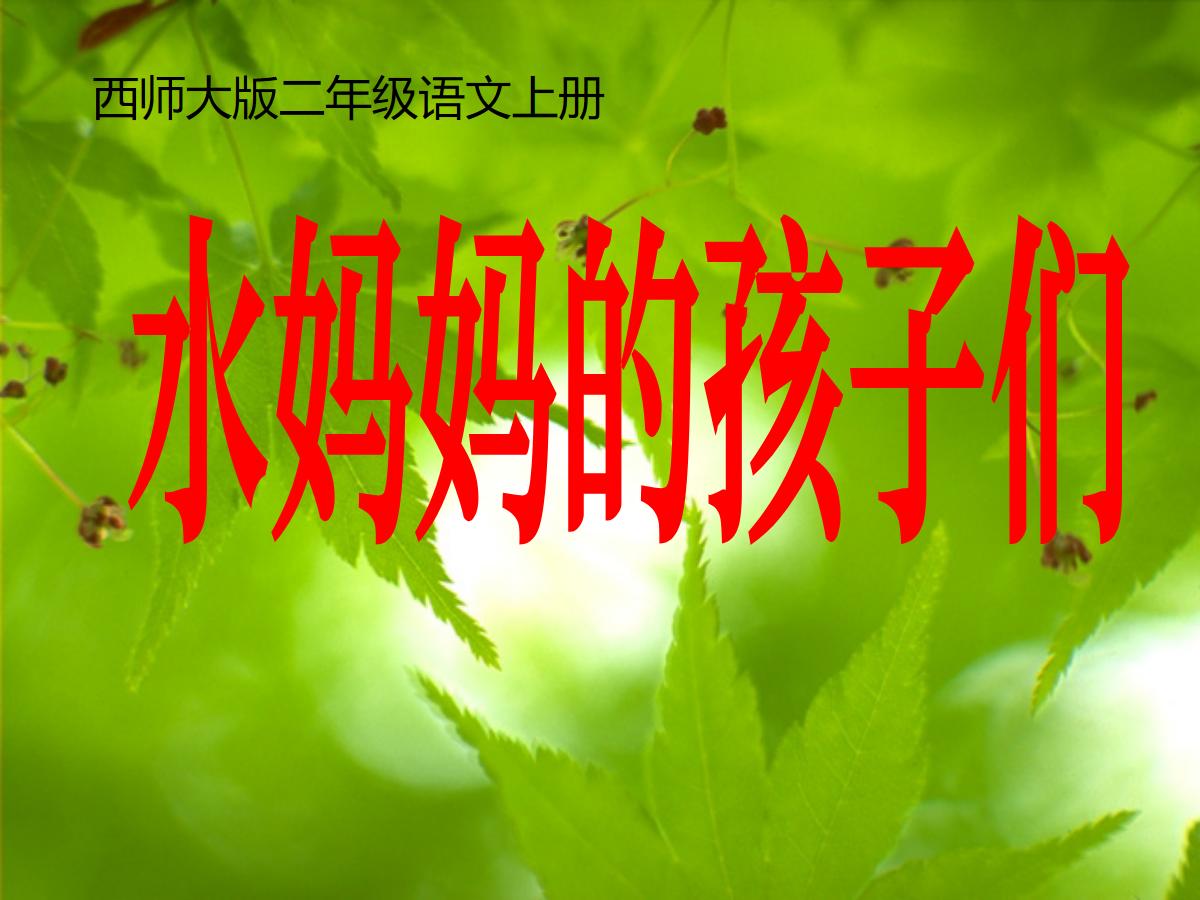 《水妈妈的孩子们》PPT课件4