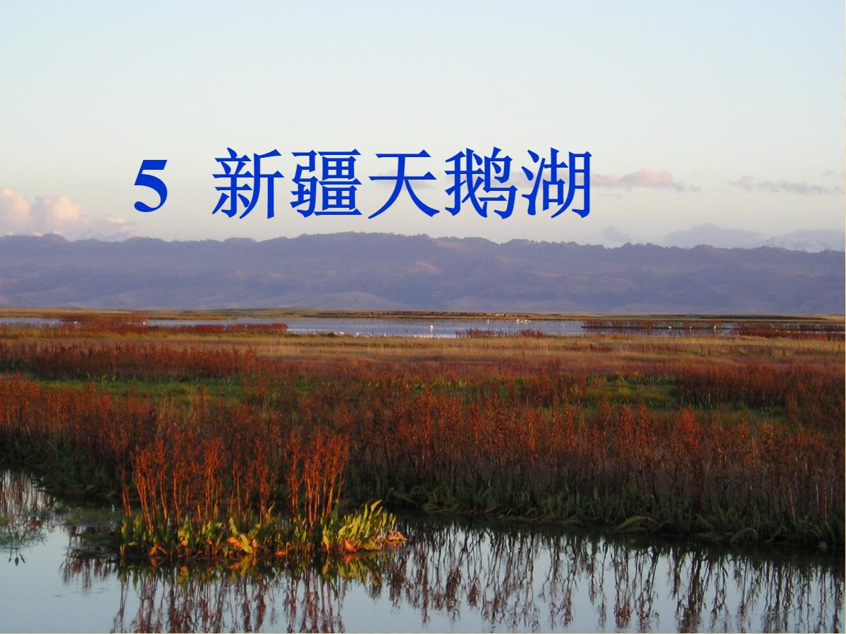 《新疆天鹅湖》PPT课件2