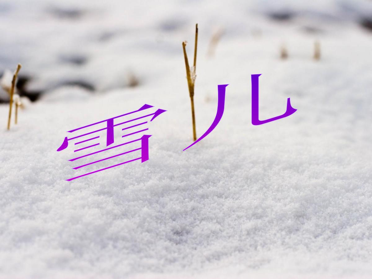《雪儿》PPT课件