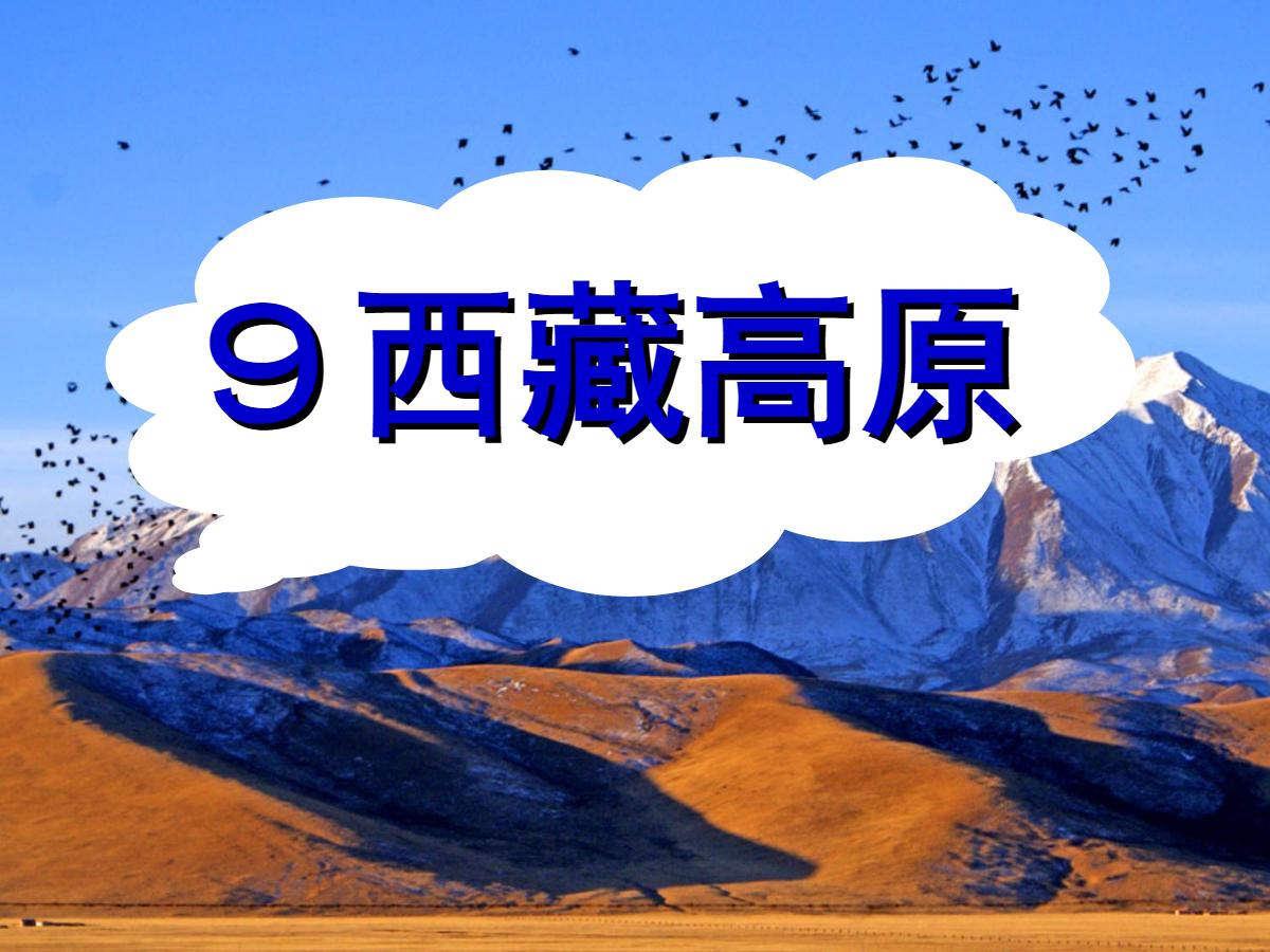 《西藏高原》PPT课件