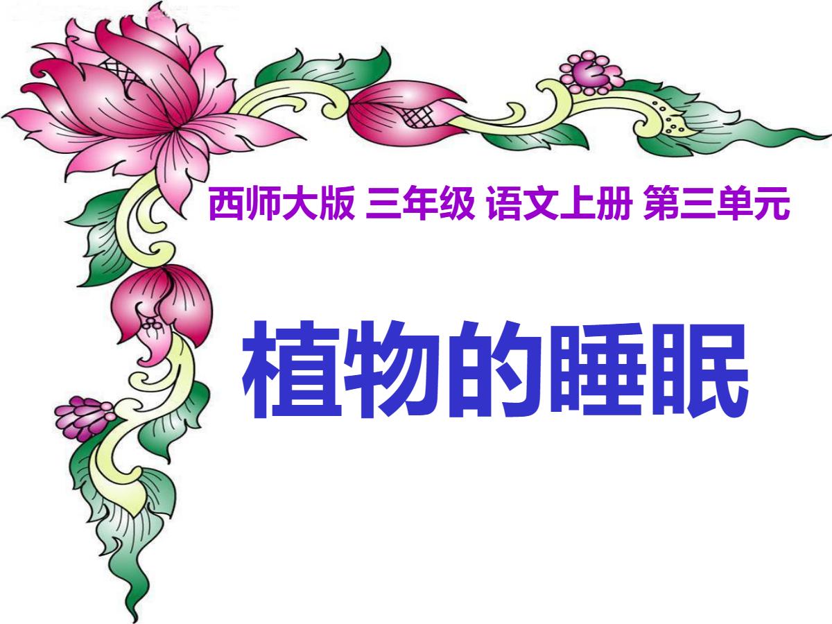 《植物的睡眠》PPT课件2