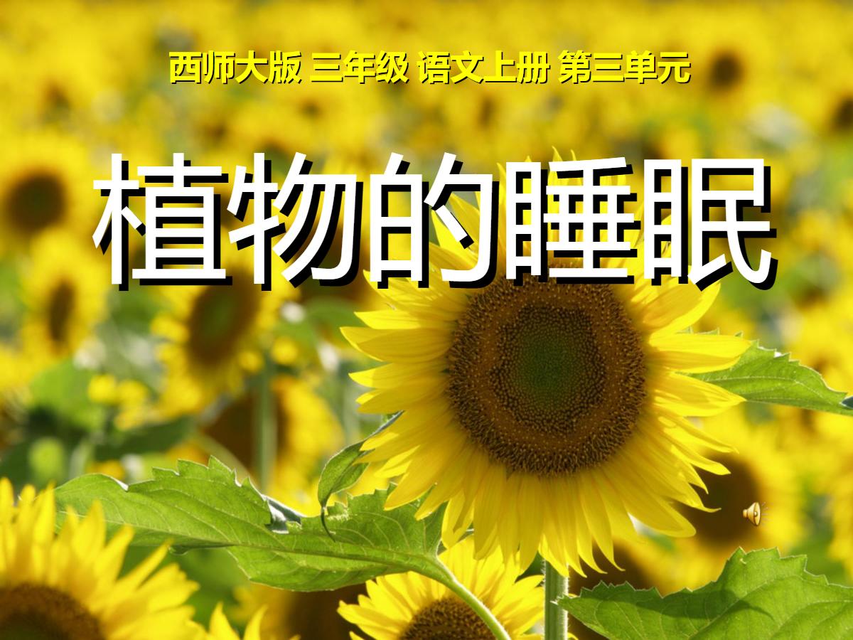 《植物的睡眠》PPT课件3