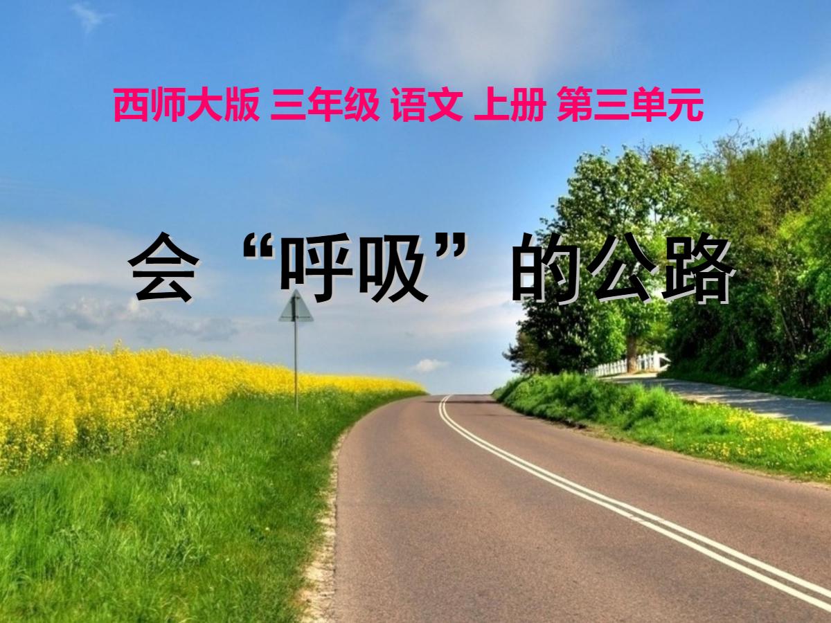 《会“呼吸”的公路》PPT课件