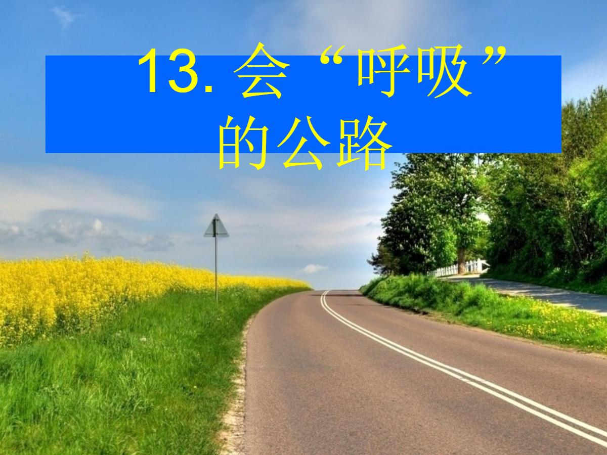 《会“呼吸”的公路》PPT课件2