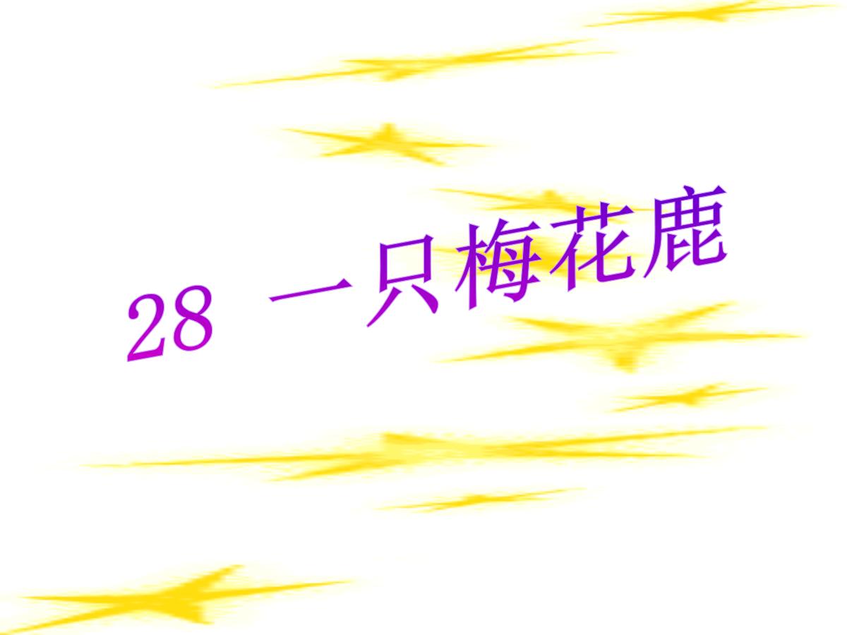 《一只梅花鹿》PPT课件3