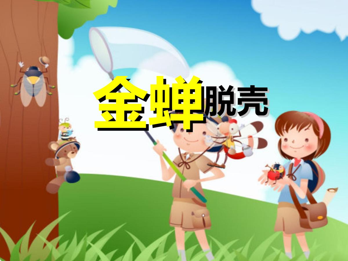 《金蝉脱壳》PPT课件4