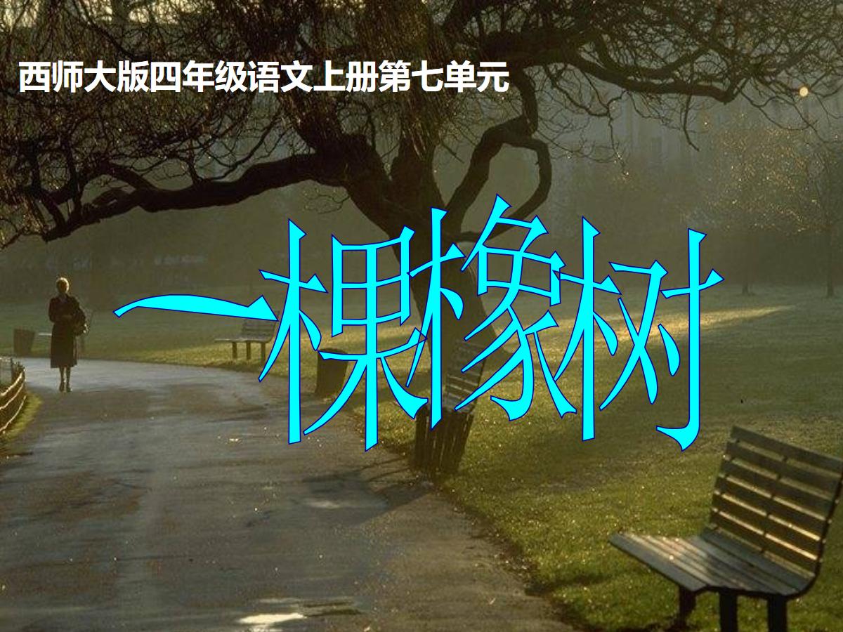 《一棵橡树》PPT课件2