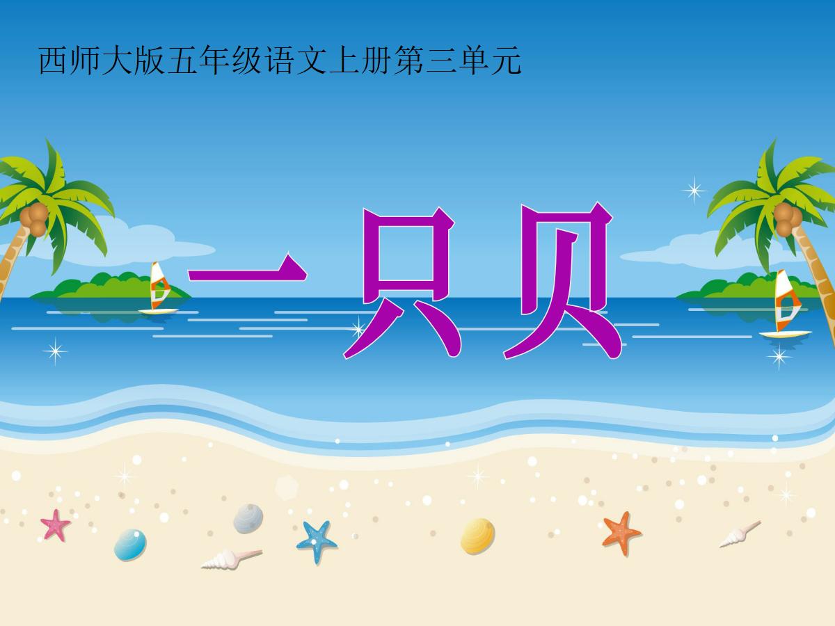 《一只贝》PPT课件2