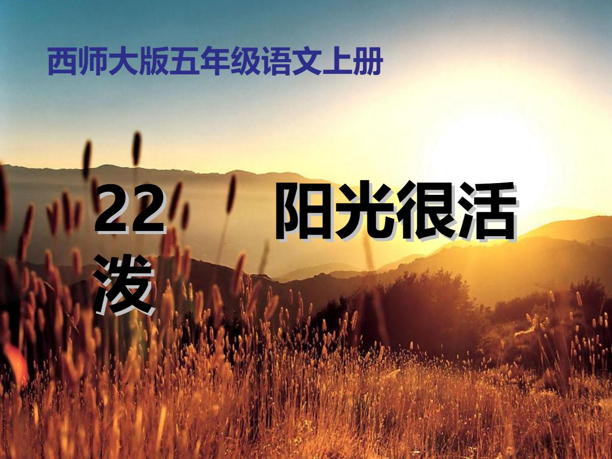 《阳光很活泼》PPT课件