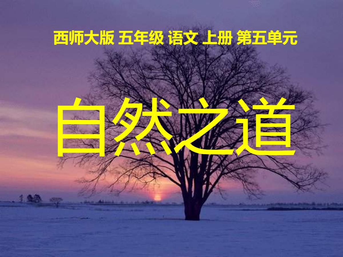 《自然之道》PPT课件