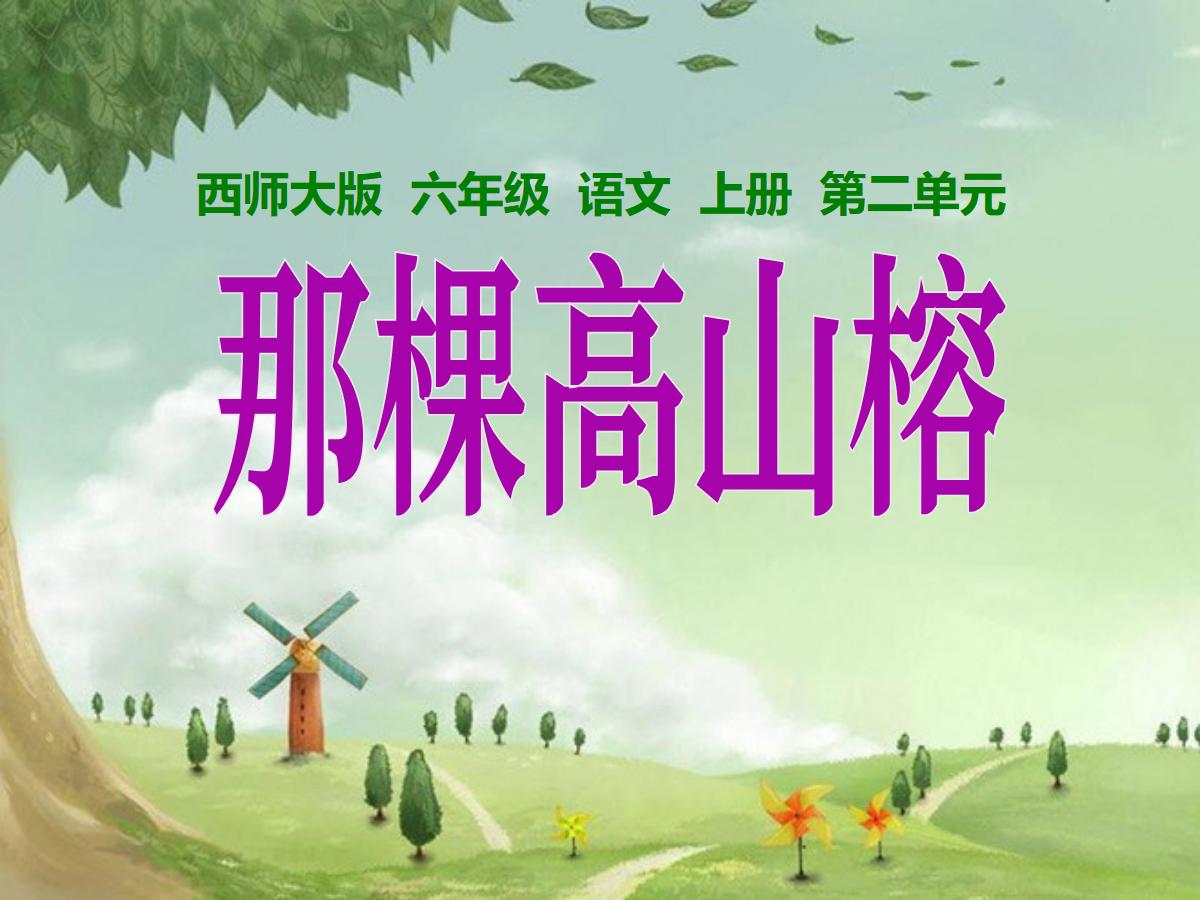 《那棵高山榕》PPT课件