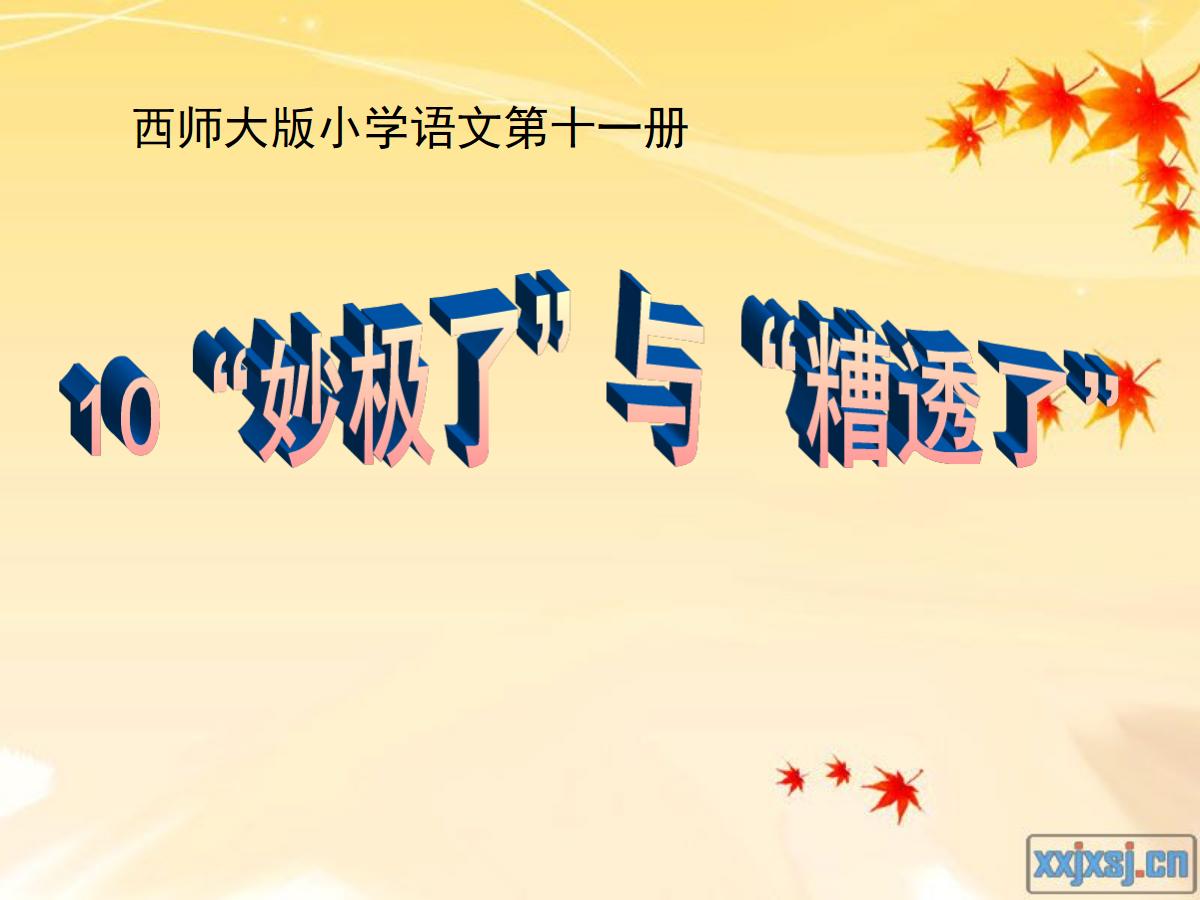 《妙极了与糟透了》PPT课件2