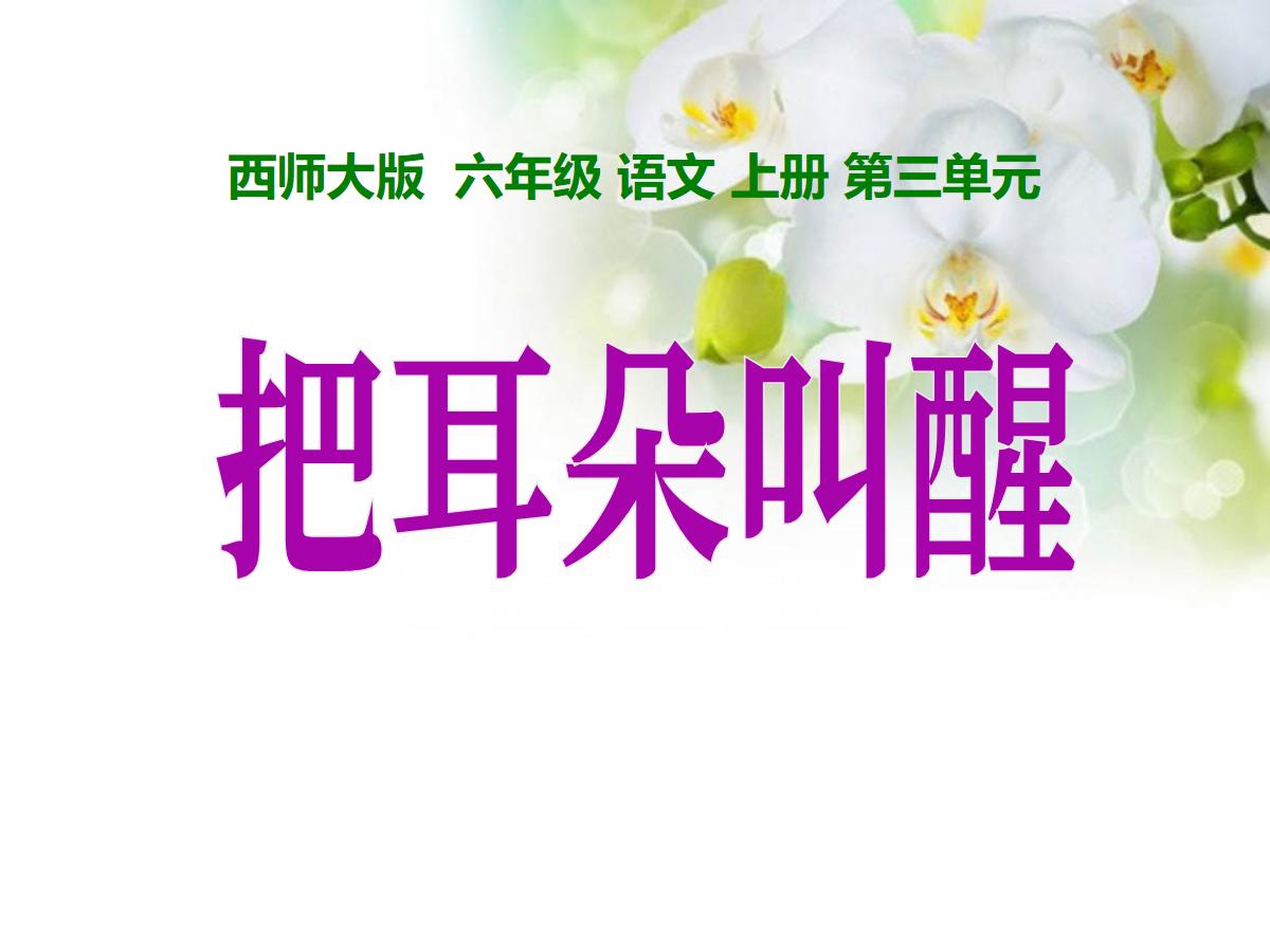 《把耳朵叫醒》PPT课件2
