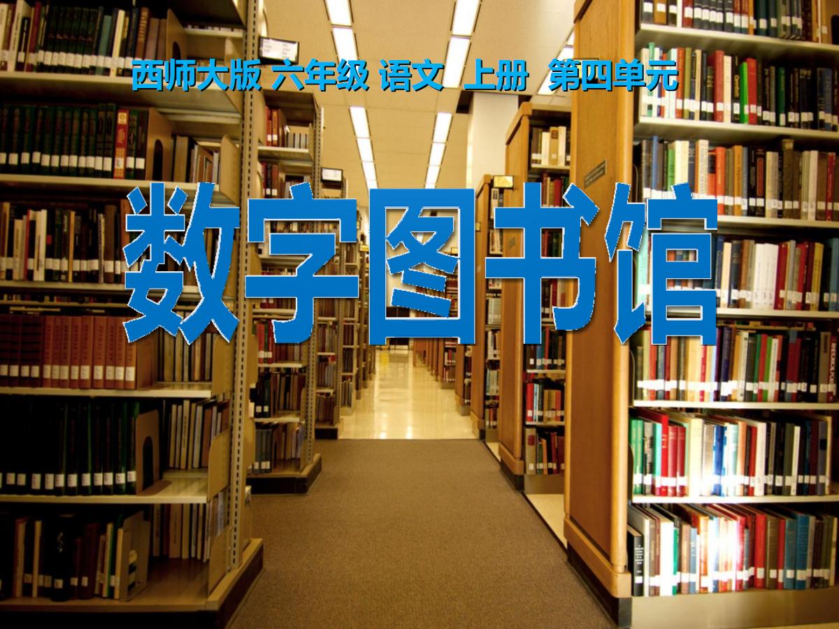 《数字图书馆》PPT课件