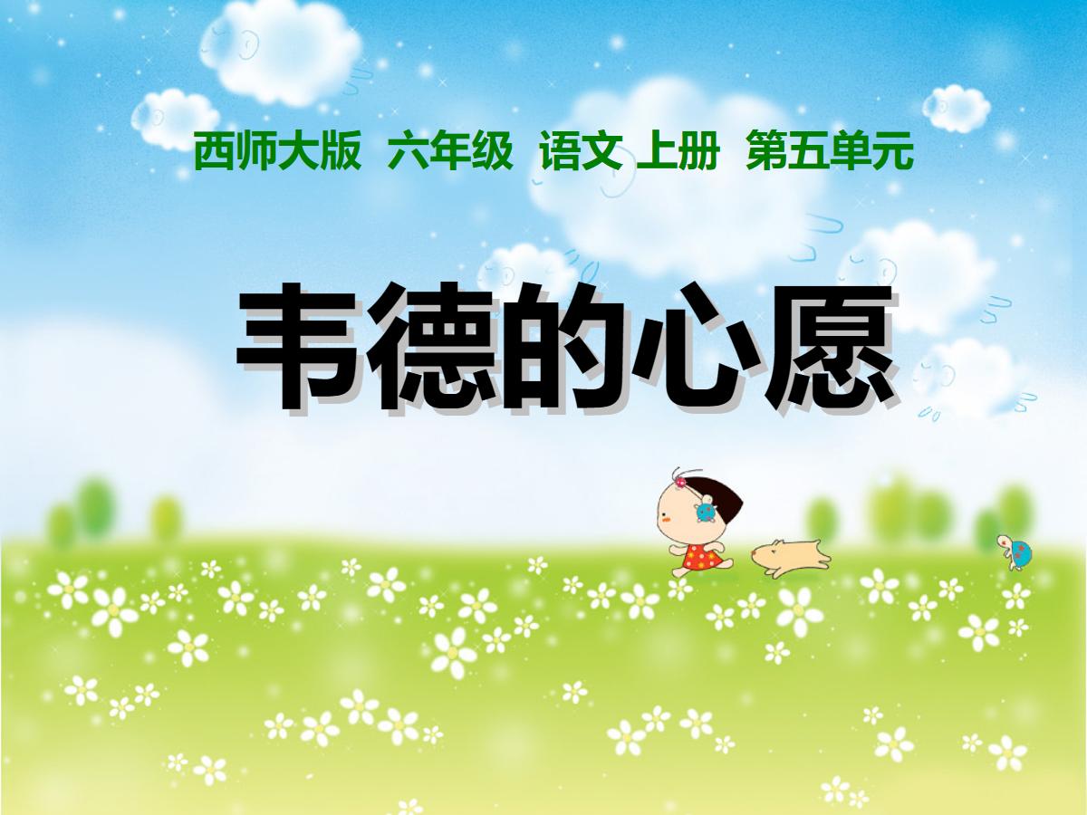 《韦德的心愿》PPT课件