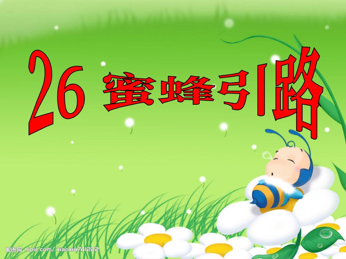 《蜜蜂引路》PPT课件6
