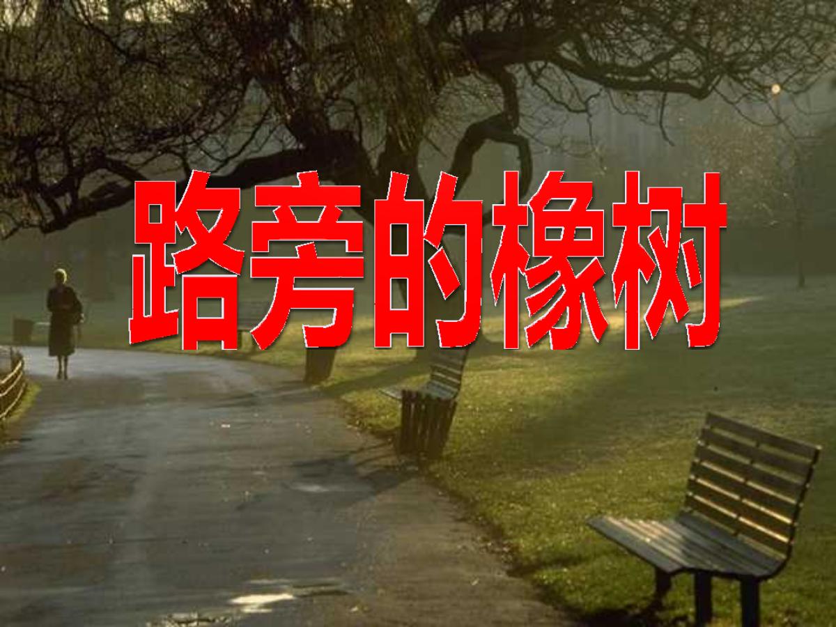 《路旁的橡树》PPT课件