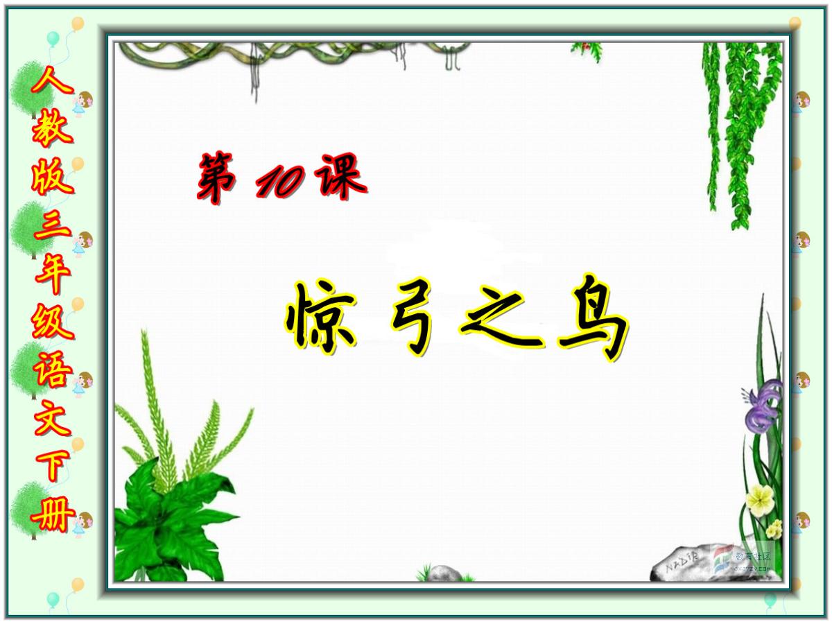 《惊弓之鸟》PPT课件7