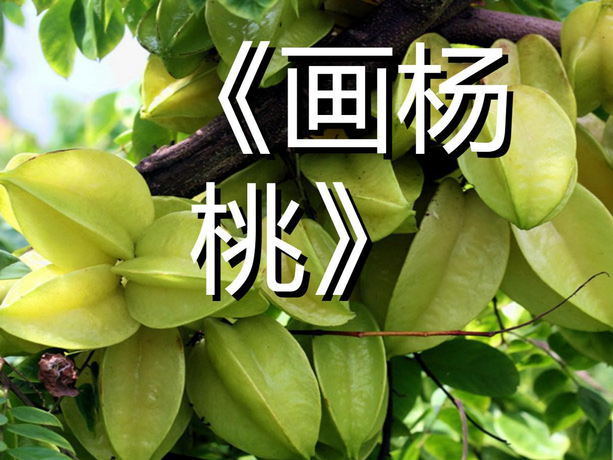 《画杨桃》PPT课件2