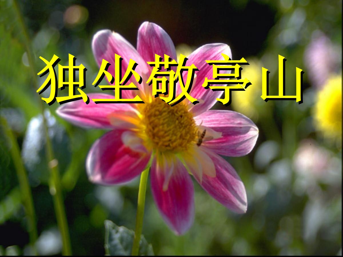 《独坐敬亭山》PPT课件