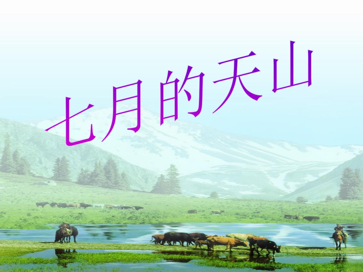 《七月的天山》PPT课件2