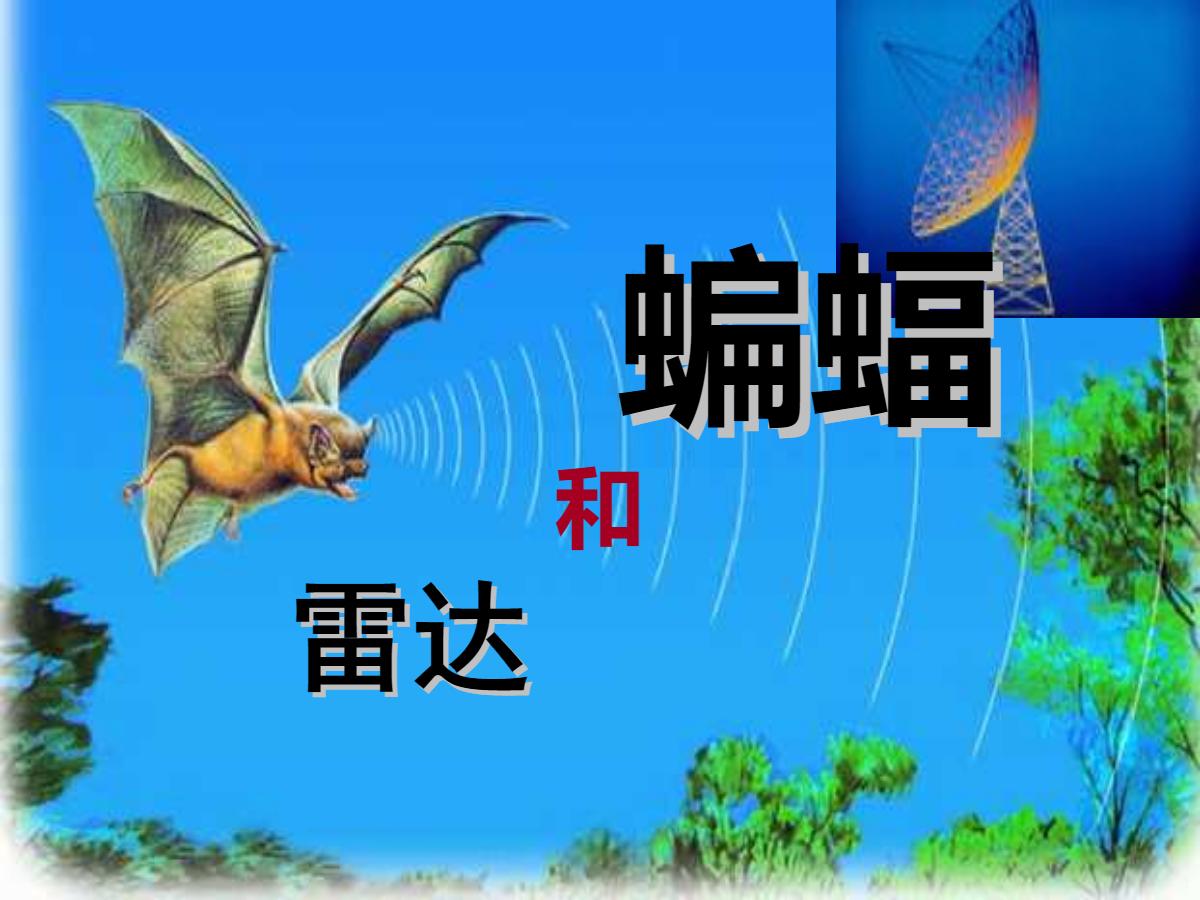 《蝙蝠和雷达》PPT课件