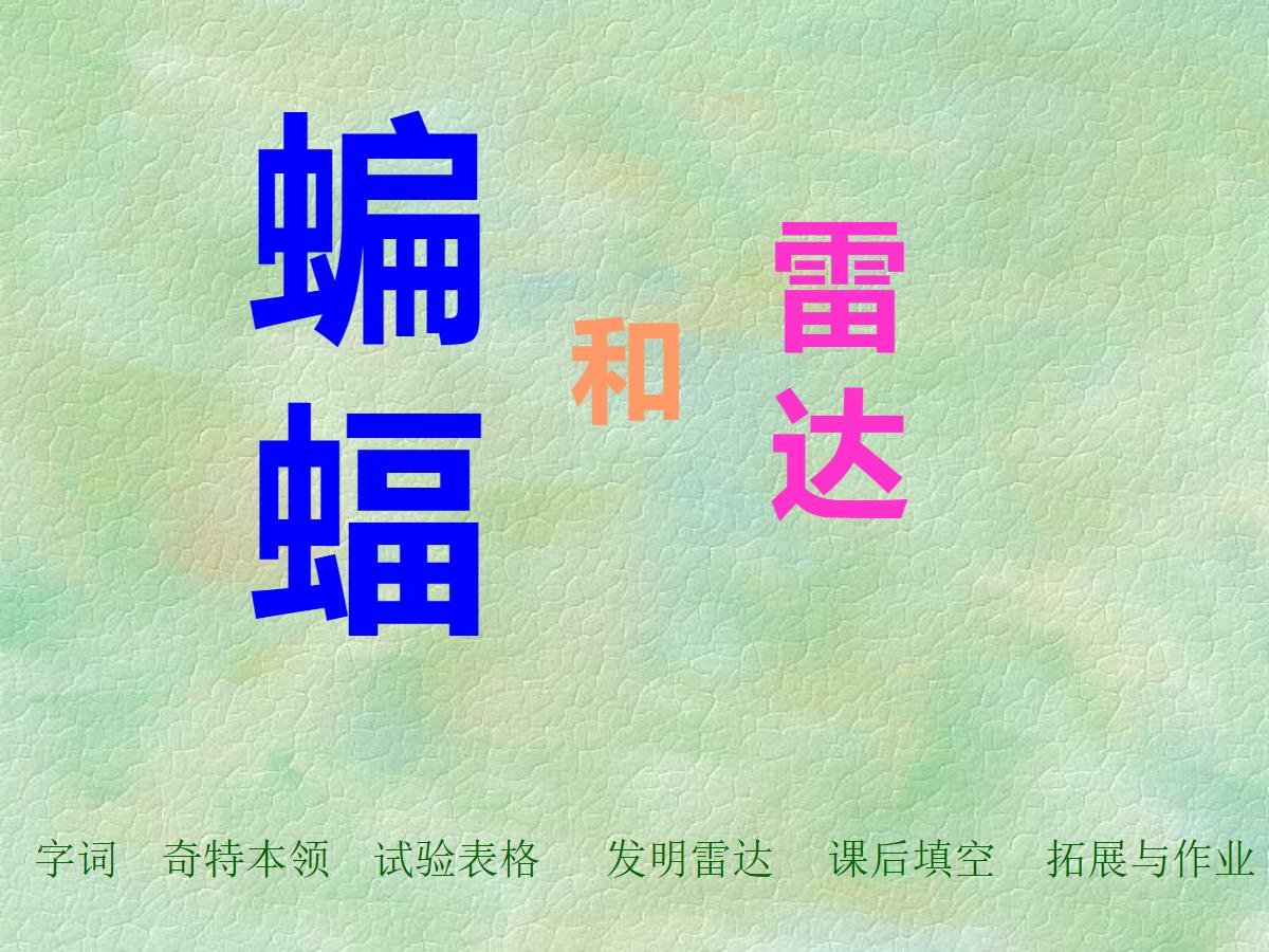 《蝙蝠和雷达》PPT课件2