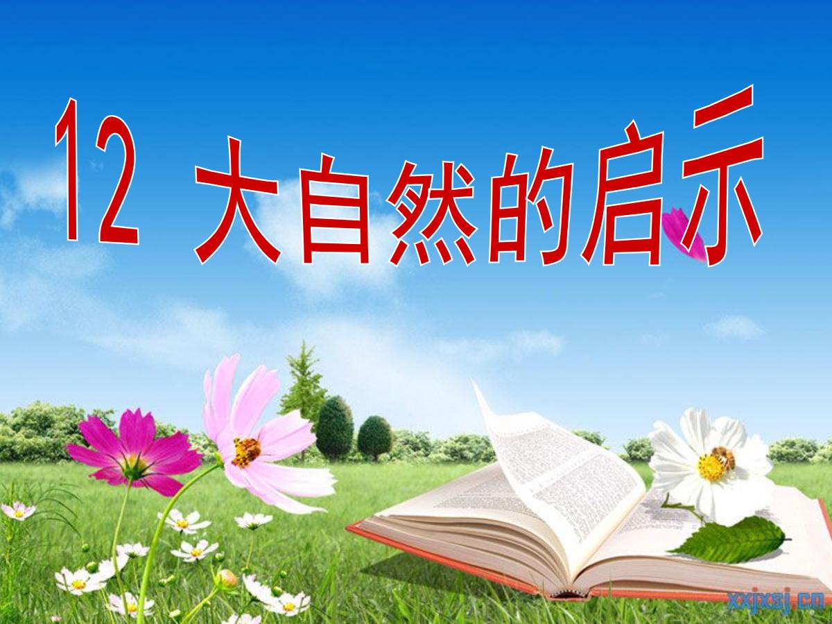 《大自然的启示》PPT课件4