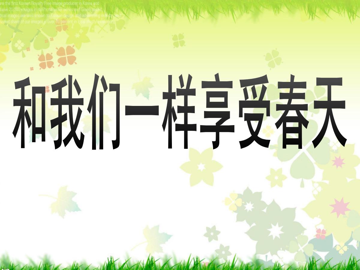 《和我们一样享受春天》PPT课件2