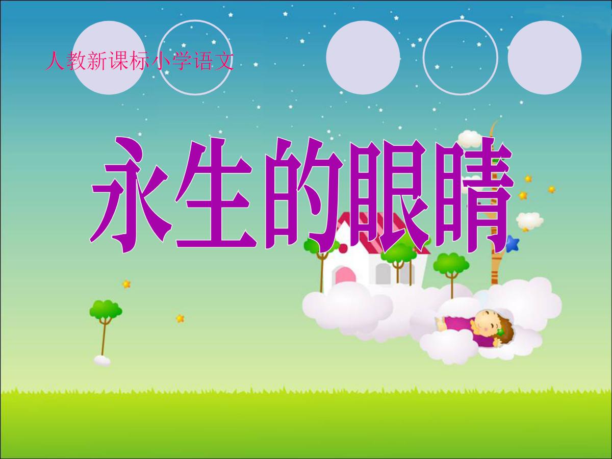 《永生的眼睛》PPT课件