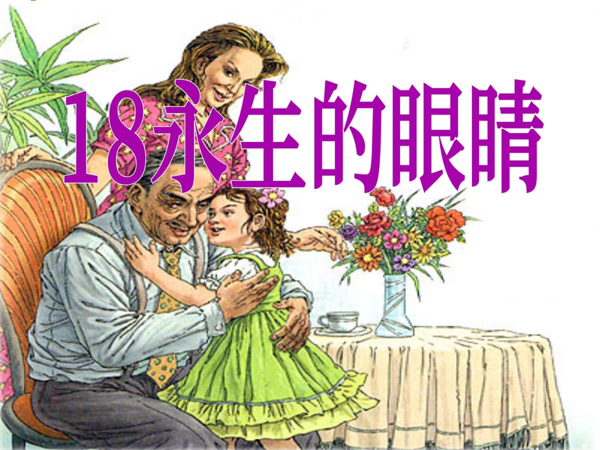 《永生的眼睛》PPT课件3