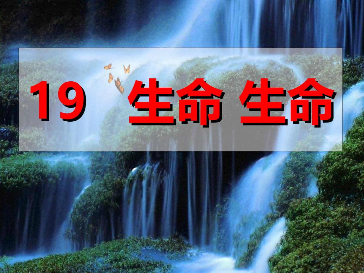 《生命生命》PPT课件7