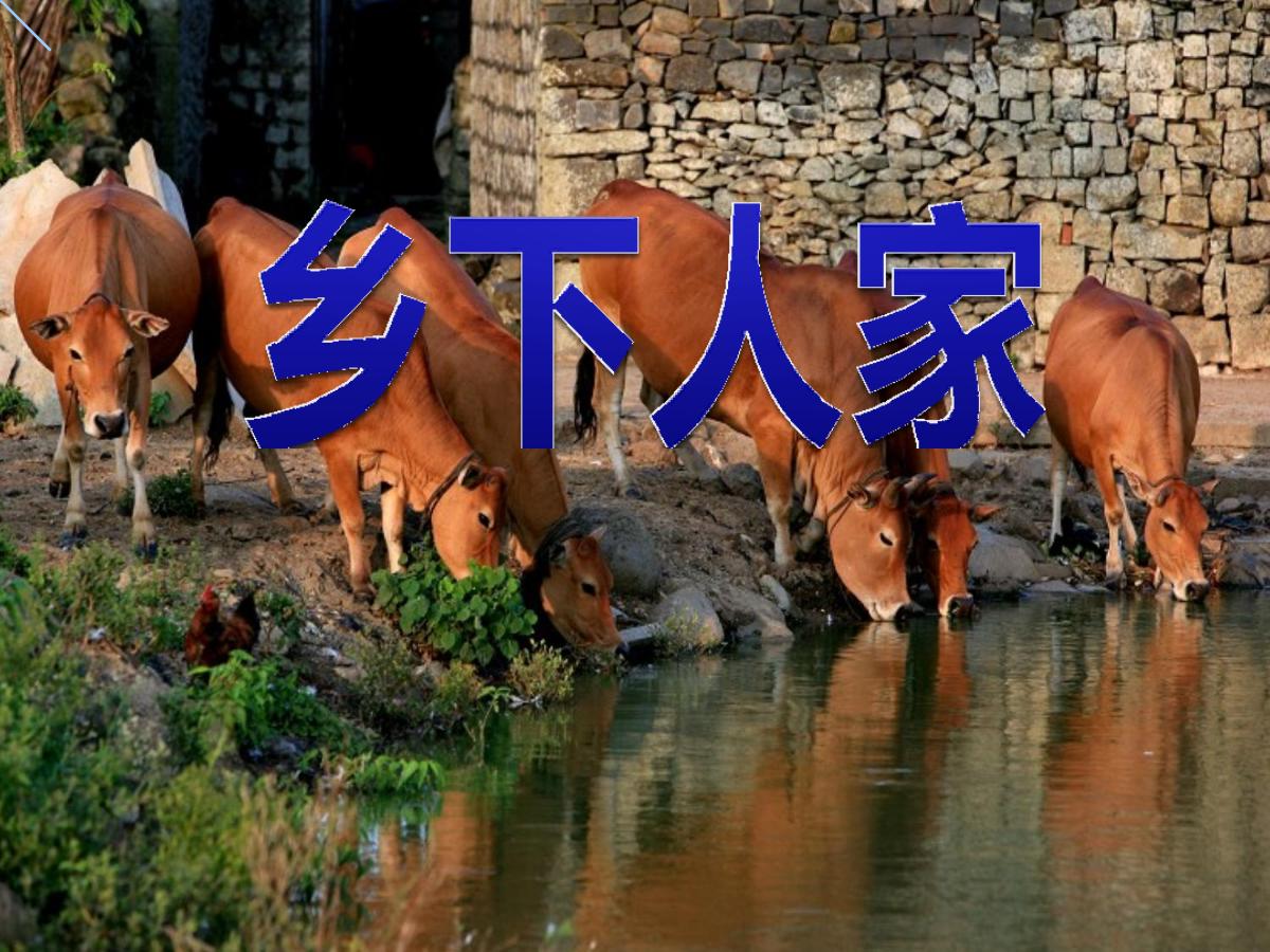 《乡下人家》PPT课件3