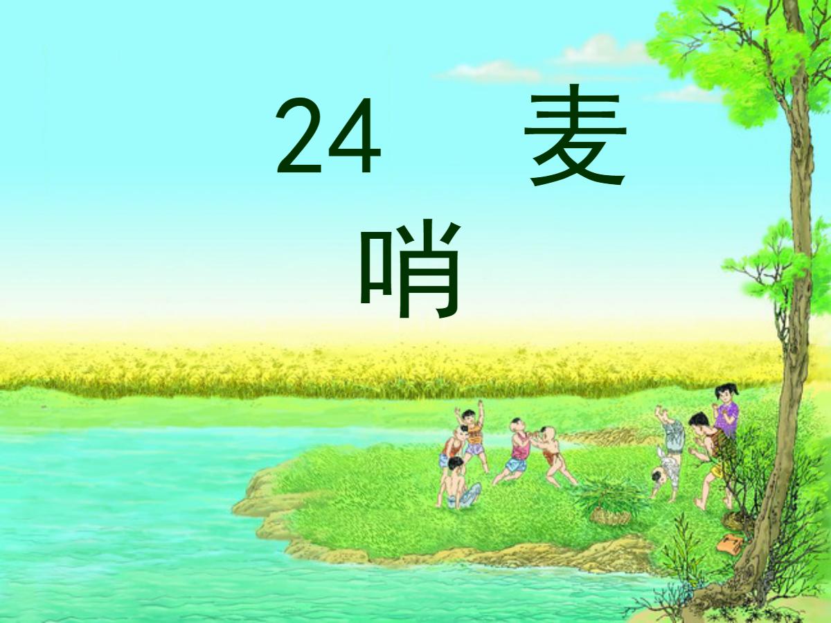 《麦哨》PPT课件