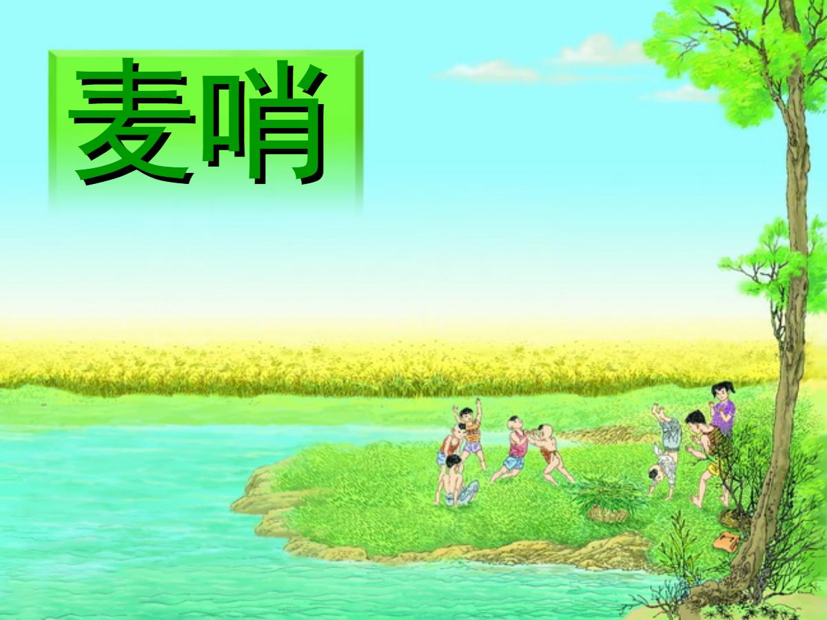 《麦哨》PPT课件5