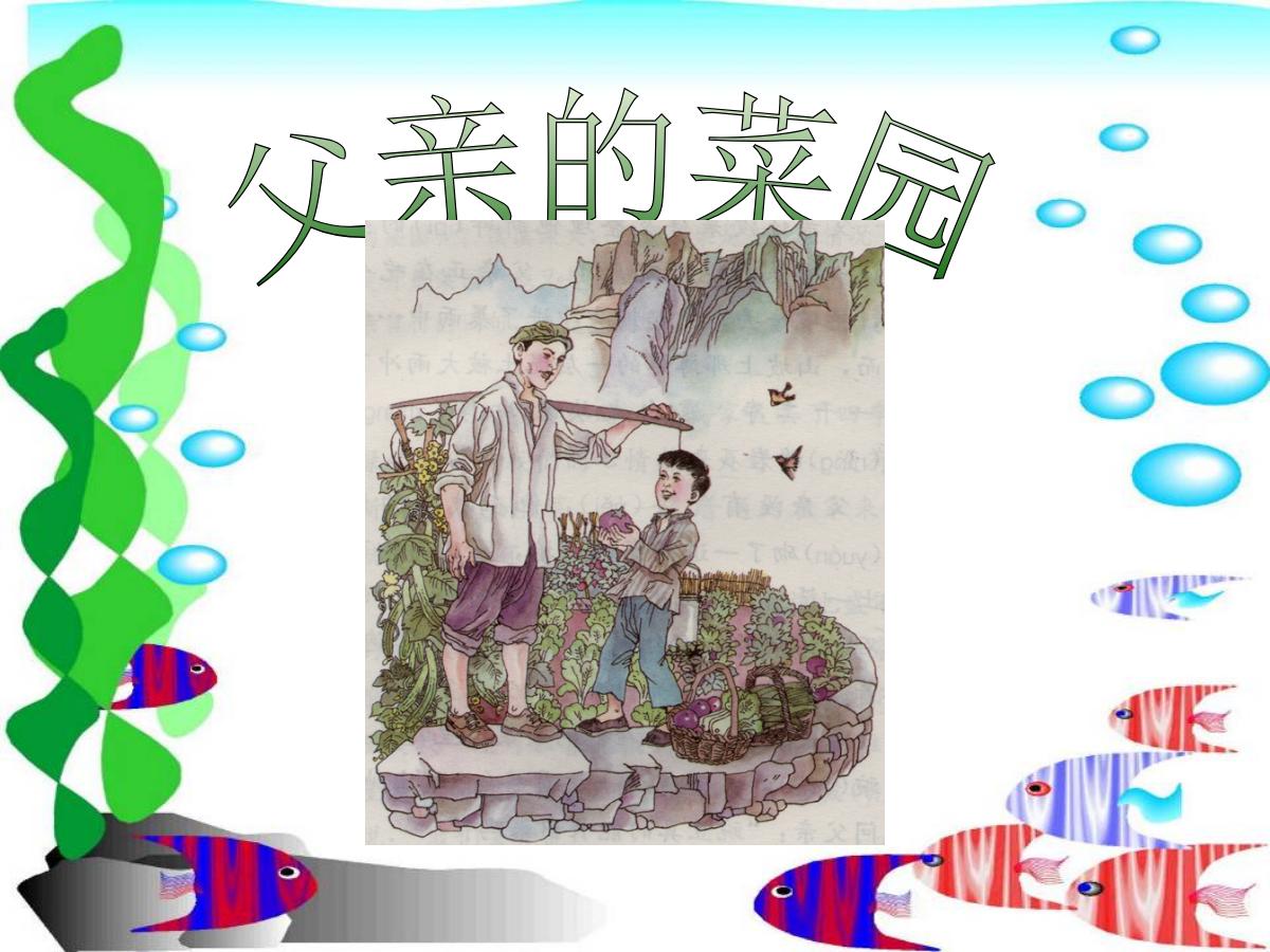 《父亲的菜园》PPT课件